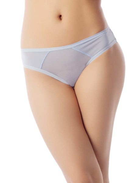 Women's Sheer See Through Underwear Fashionable Mesh Low Rise Brief Panties