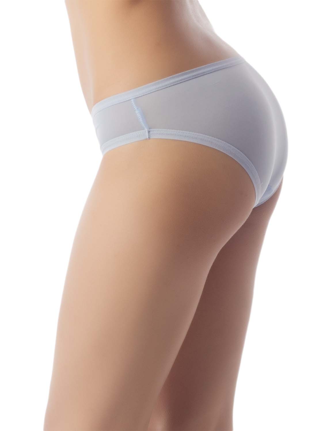 Women's Sheer See Through Underwear Fashionable Mesh Low Rise Brief Panties