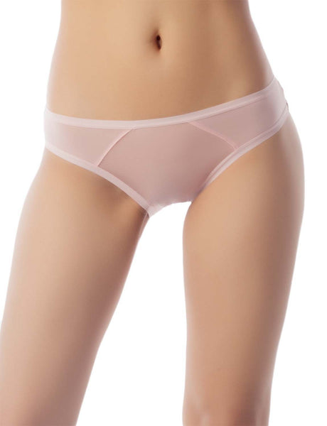 Women's Sheer See Through Underwear Fashionable Mesh Low Rise Brief Panties