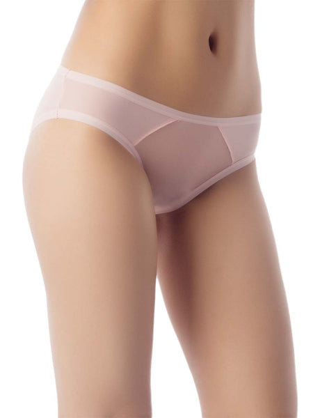 Women's Sheer See Through Underwear Fashionable Mesh Low Rise Brief Panties