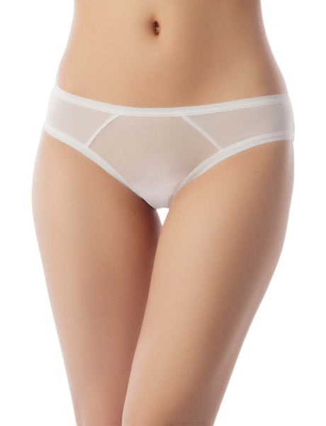 Women's Sheer See Through Underwear Fashionable Mesh Low Rise Brief Panties