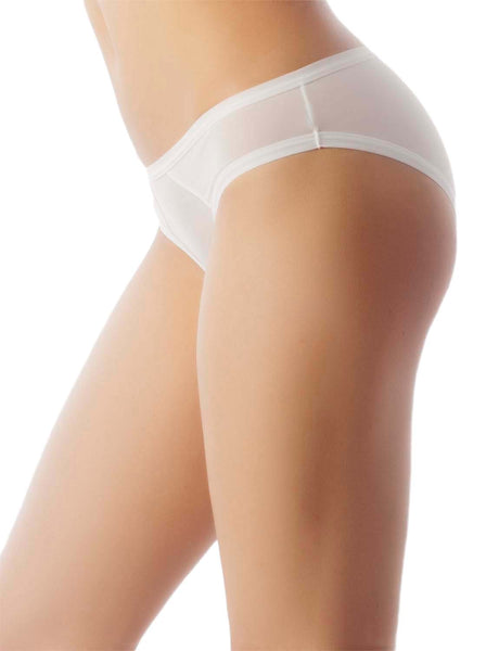 Women's Sheer See Through Underwear Fashionable Mesh Low Rise Brief Panties