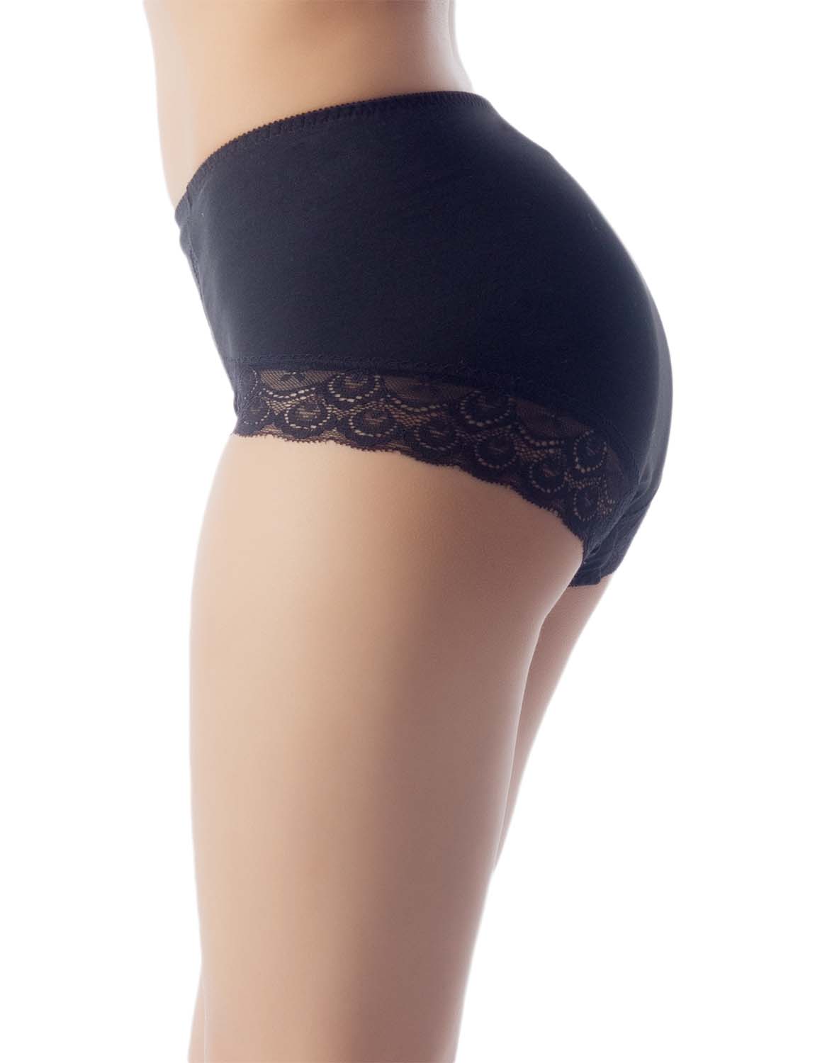 Women's Soft Modals Comfort Lace V Shape High-cut High Waist Hipster Panties