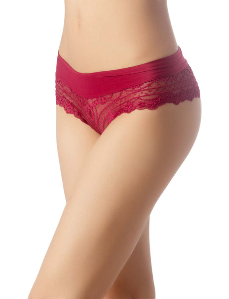 Women's Wide Band Lace Mesh See-through Transparent Low Rise Hipster Panties