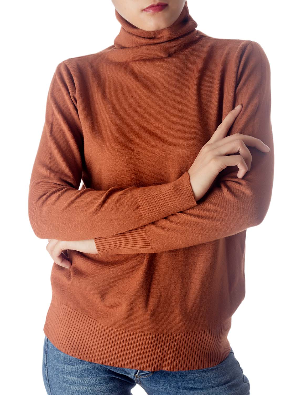 Women's Solid Color Lightweight Turtle Neck Tops Fashion Pullover Sweater