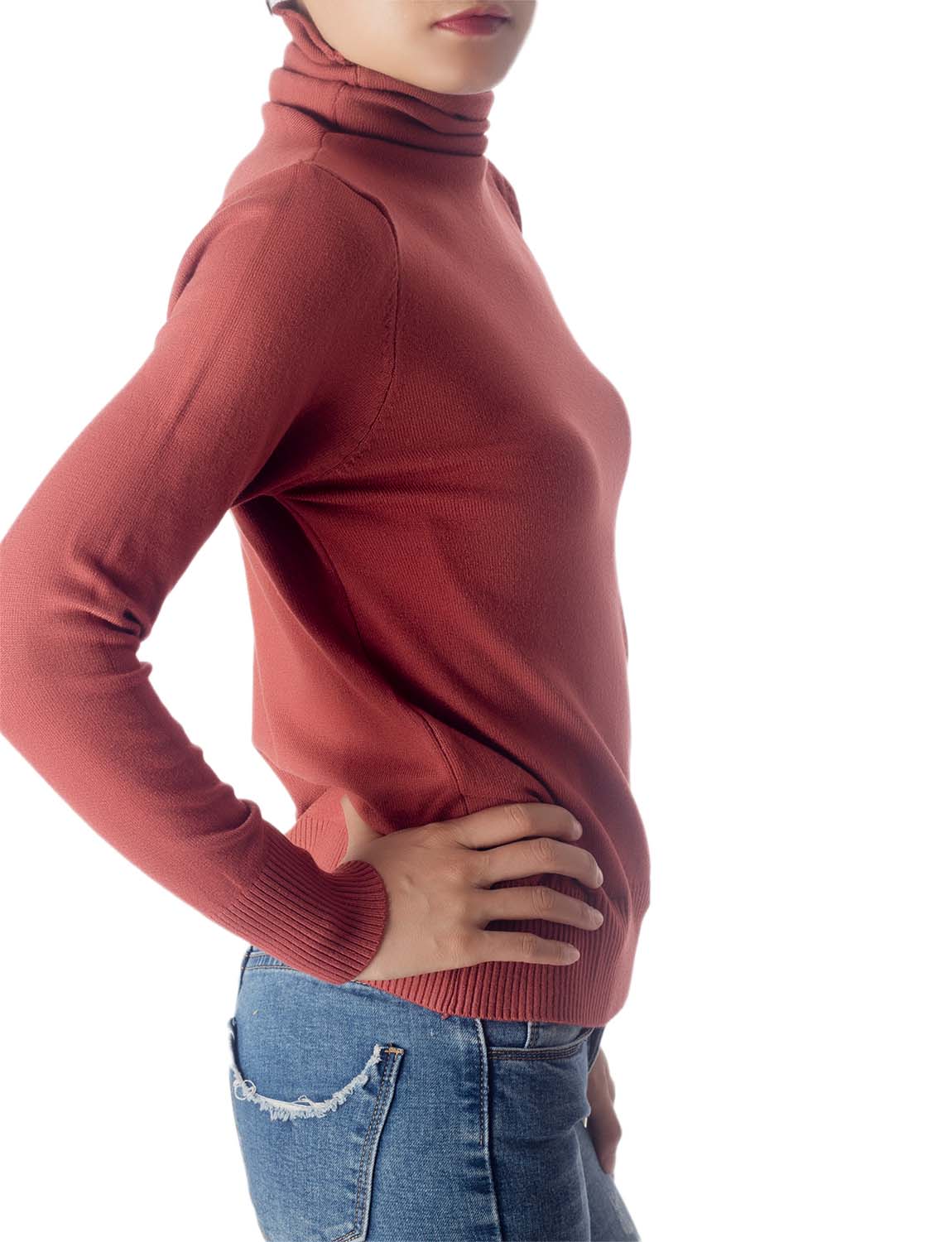 Women's Solid Color Lightweight Turtle Neck Tops Fashion Pullover Sweater