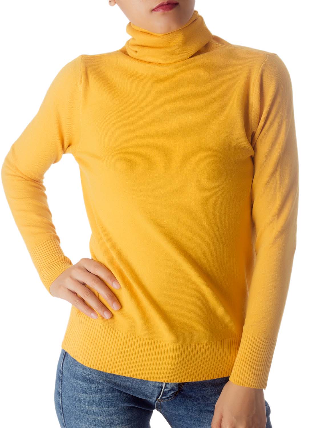 Women's Solid Color Lightweight Turtle Neck Tops Fashion Pullover Sweater
